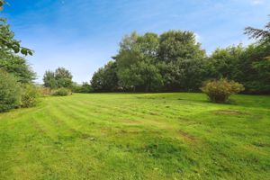 Photo 5- click for photo gallery